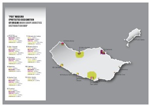 madeira map