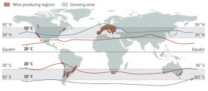 ZONAS DE PRODUCCIÓN