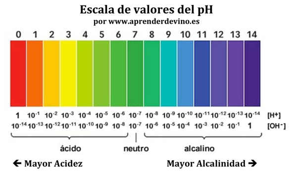 Absurdo Gran cantidad de Destilar pH y Vino - Aprender de Vino