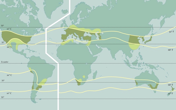 Distribución de la Viticultura por Temperatura